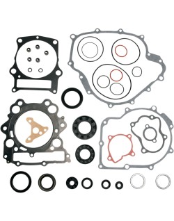GASKET-KIT W O/S-GRIZ660