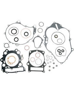 GASKET-KIT W O/S-RAPTOR