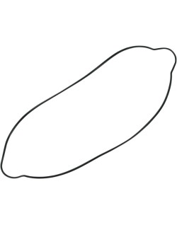 GASKET CLUTCH CVR 250-300