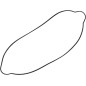 GASKET CLUTCH CVR 250-300