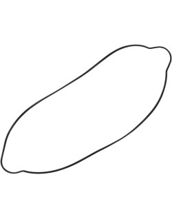 GASKET CLUTCH CVR 250F