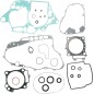GASKETS W OIL SL TRX450R