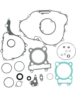 GASKET W OIL SEALS YAM