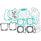 GASKET KT COM W/SLS CANAM