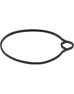 GASKET FLOAT BOWL MSE