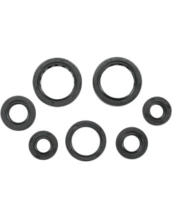 SEAL-KIT OIL -350 RNCHR