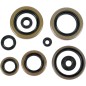 OIL-SEALS KDX200 89-94