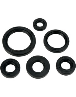 OIL SEAL SET MSE KAW