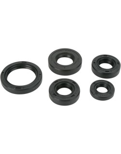 OIL SEAL SET MSE KAW