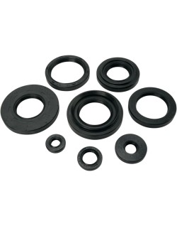 OIL SEAL SET MSE YAM
