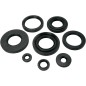OIL SEAL SET MSE YAM