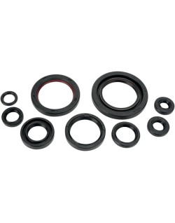 OIL SEAL SET MSE HON
