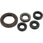 OIL SEAL SET MSE SUZ