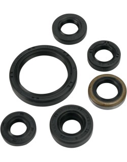 OIL SEAL SET MSE KAW