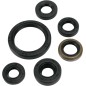 OIL SEAL SET MSE KAW