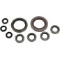 OIL SEAL SET MSE POL