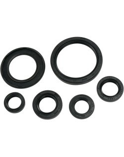 OIL SEAL SET MSE YAM