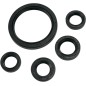 OIL SEAL SET MSE YAM