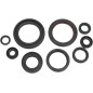 SEAL OIL SET CRF450R