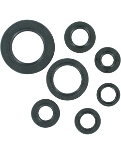 OIL SEAL SET MSE HON