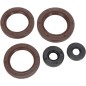 OIL SEAL SET MSE CAN AM