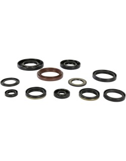 OIL SEAL SET MSE YAM