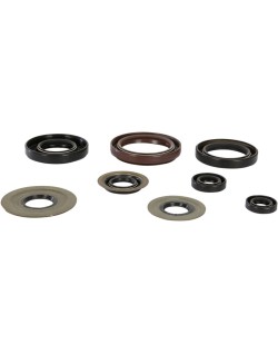 OIL SEAL SET MSE YAM
