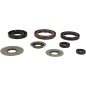 OIL SEAL SET MSE YAM