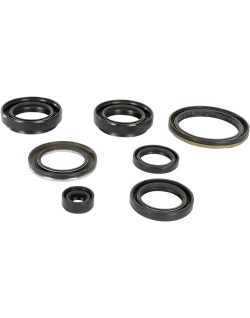 OIL SEAL SET MSE AC/SUZ