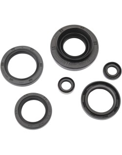 OIL SEAL SET MSE KAW