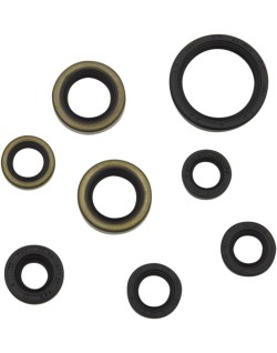 SEAL OIL SET KAWASAKI