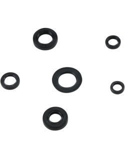 SEAL KIT ENGINE OIL HON