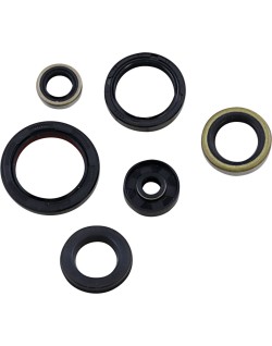 SEAL OIL SET KTM