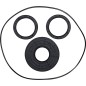 SEAL KT DIFFERENTIAL FRT