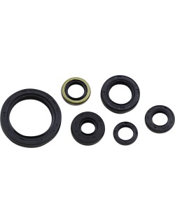 SEAL OIL SET KLX250
