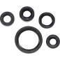 SEAL OIL SET DRZ200