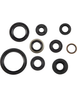 OIL SEALS KLX 450R