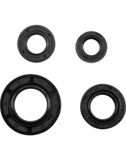 SEAL OIL SET YAM TTR