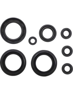OIL SEAL SET MSE SUZ
