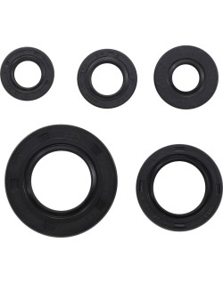 OIL SEAL SET MSE HON