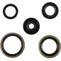 SEALS-ORINGS & KIT
