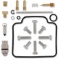 REPAIR KIT CARB POL