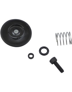 REBUILD KT ACCEL PUMP