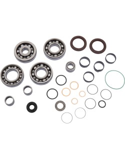 TRANS REBUILD KIT CANAM