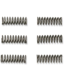 SPRINGS CLUTCH-SUZ