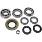 BEARING KIT DIFF FT CANAM