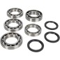 BEARING KIT DIFF FT YAM