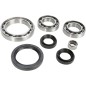 BEARING KIT DIFF RR YAM