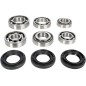 BEARING KIT DIFF FT POL