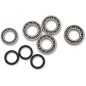 BEARING KIT DIFF FT POL